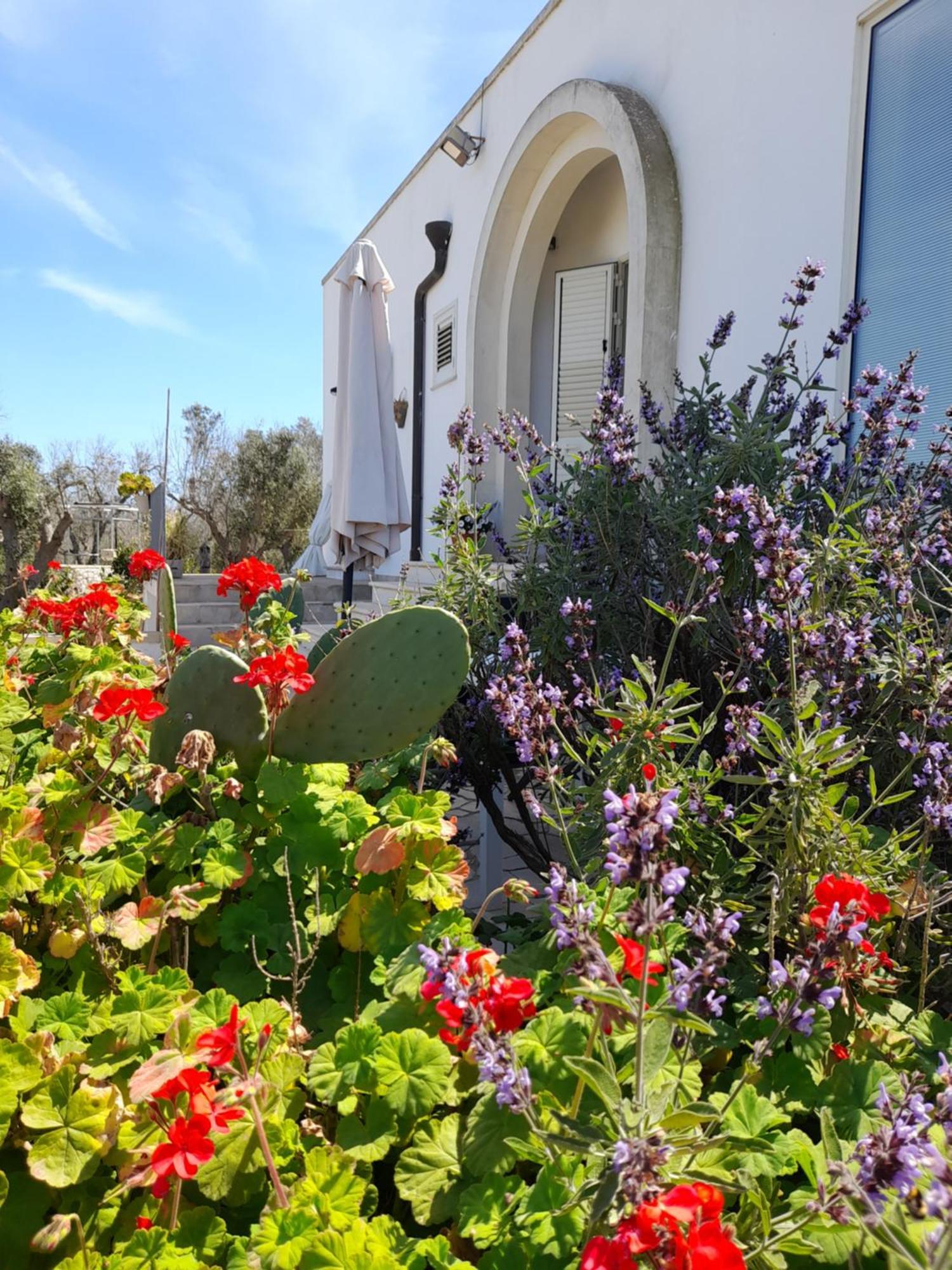 Tenuta Valle Dell Idro Otranto Con Piscina Casamassella Екстериор снимка
