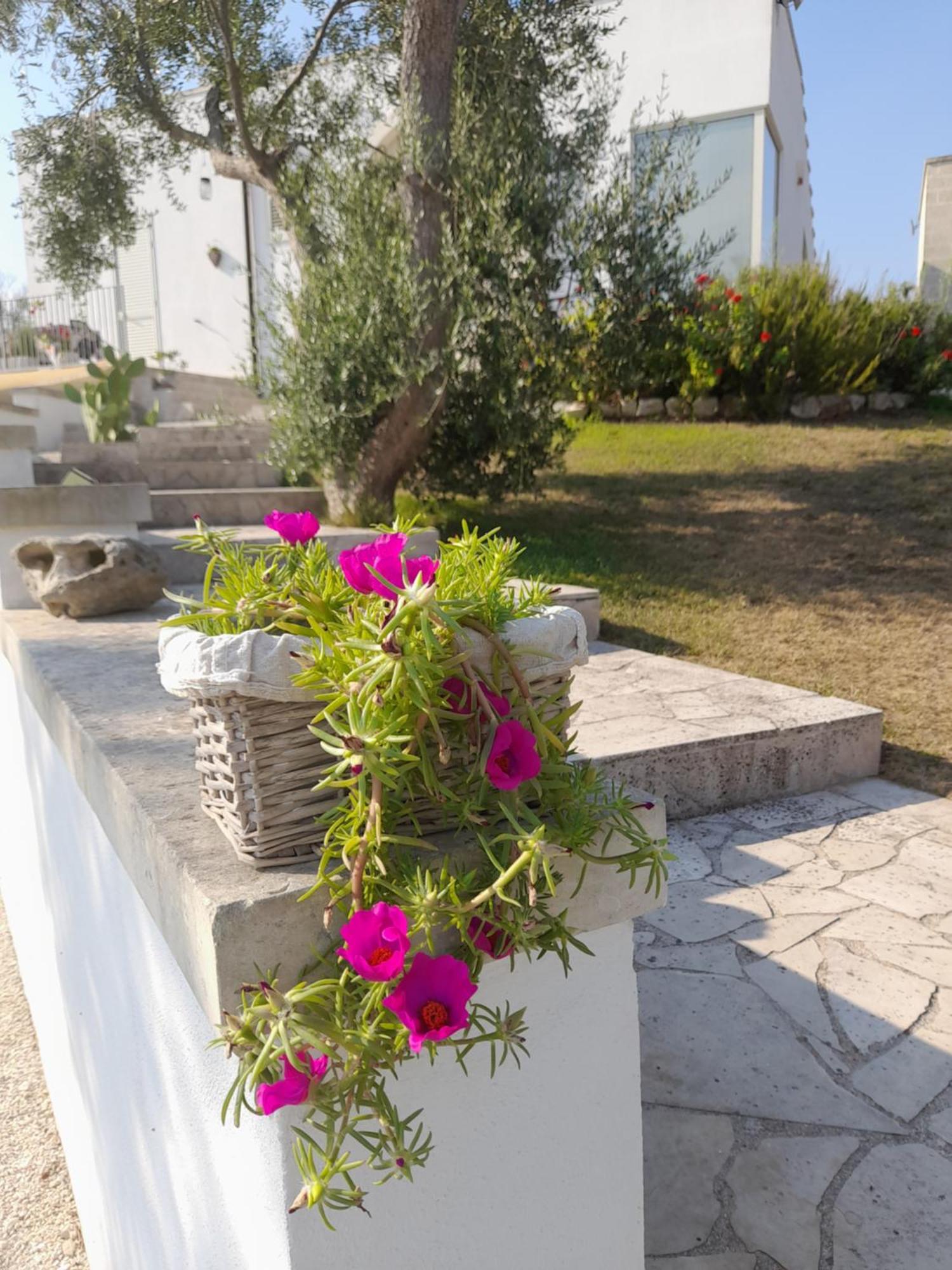 Tenuta Valle Dell Idro Otranto Con Piscina Casamassella Екстериор снимка